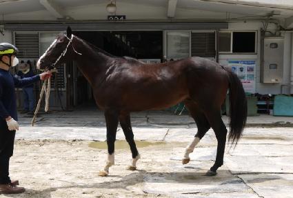 ������ũ ����