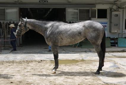 �������� ����