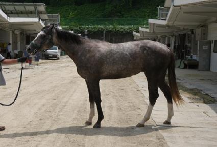 ���мǵ� ����