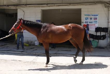 ����ŸƮ ����