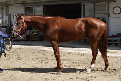 ���Ͻ����� ����