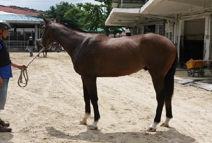 ���ʰ�� ����