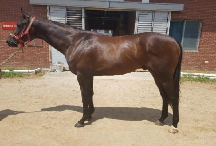 ġ�����̽� ����