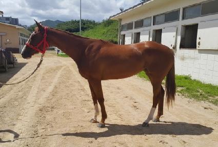 ���ڸ� ����