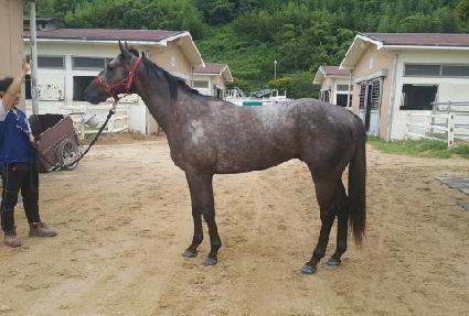 ����Ʈ���� ����