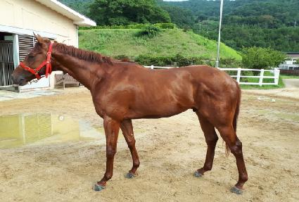 ġ��Ÿ�� ����