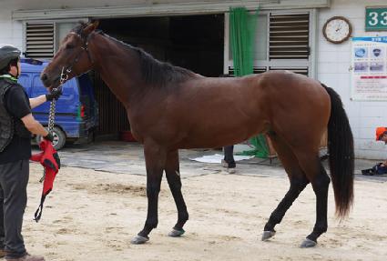 ���ξ������ ����