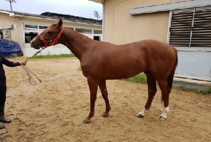 ũ�Ҹ��� ����