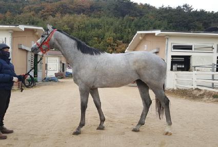 �����¡Ÿ�� ����