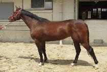 ����Ƽ���� (PRETTY JOY) ����