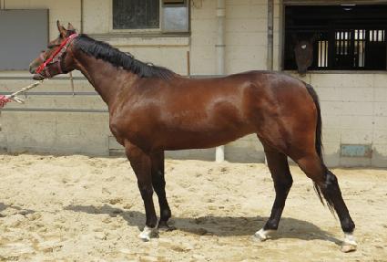 ����Ƽ���� ����