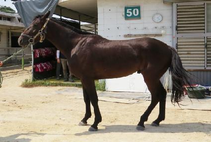 ��ȣ ����