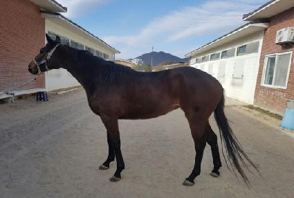 ��Ȱ�Ǽ��� ����