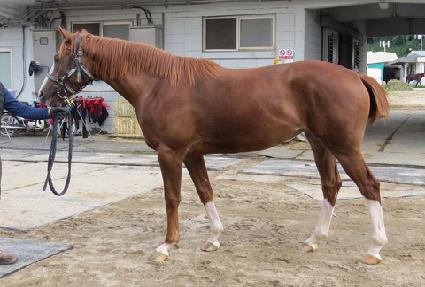 ���ٸ����� ����