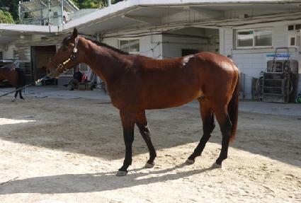 �����ø��� ����