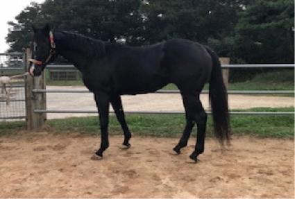 ��ġ��ġ��ġ ����