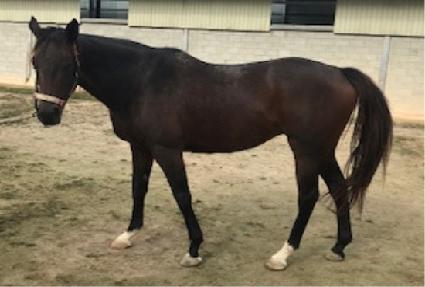 �����巯Ƽ ����