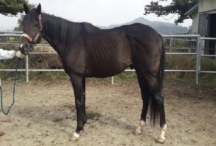 Ƽ����� ����