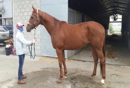 �������̵� ����