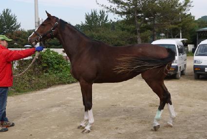 �ý�Ǫ���������� ����