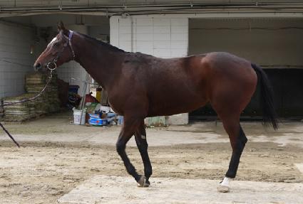 ������̳׽� ����