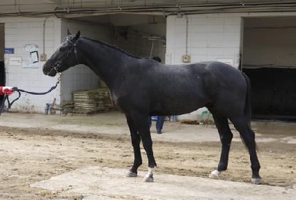 ���ڰ�� ����