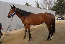 ��������� (LOVELY HELMET) ����