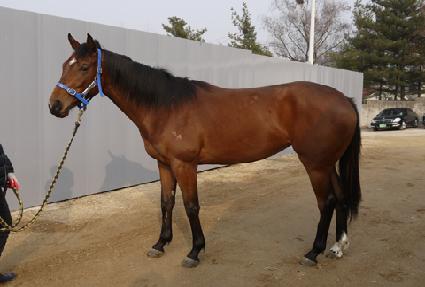 ��������� ����