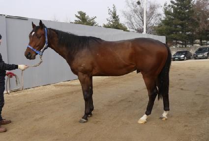 ���̳�ĭ���� ����