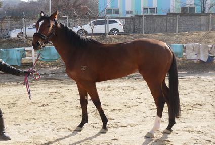 �Ŀ����̽� ����