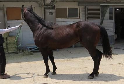 ����Ʈ���� ����