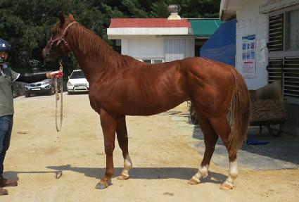 ����Ʈ���� ����