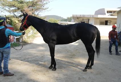 �ݾƷ��̽� ����