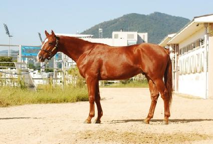 ����Ʈ������ ����