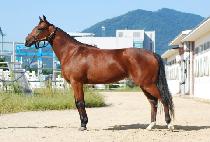 ����Ʈ�� (SMART AN) ����