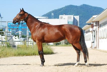 ����Ʈ�� ����