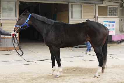 ����ġ ����