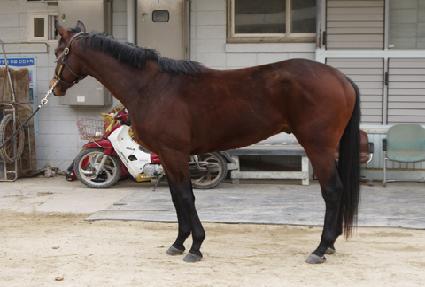 �ְ����� ����