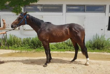 ��Ʋ���� ����