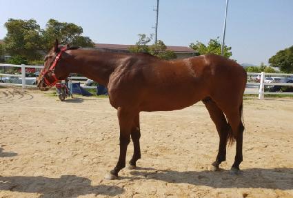 ��Ÿ�ε� ����