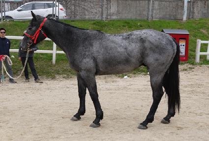 �ް����� ����