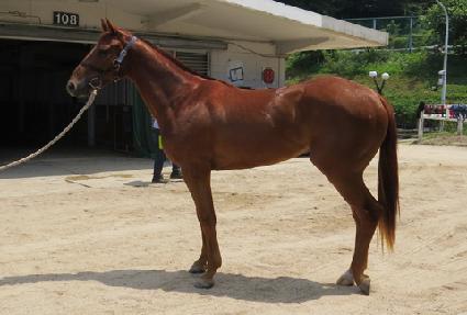 û������ ����