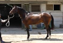 �ر���� (GEUKGI SANGJIN) ����