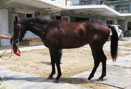 ��ī�ο�Ű�� ����