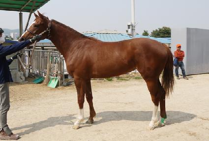 ������� ����