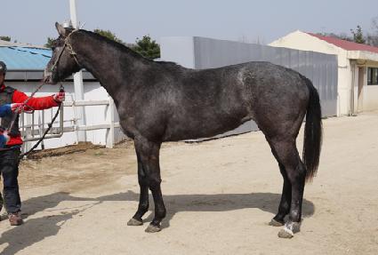 ���𸮻轺 ����