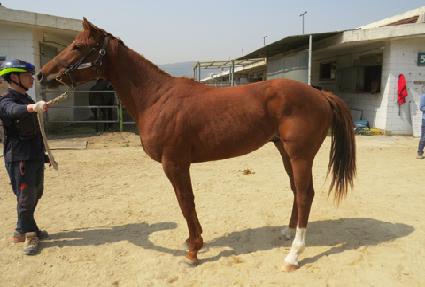 ���ϵ�����Ʈ ����