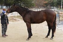 �����÷��̵� (SUPER FLUID) ����