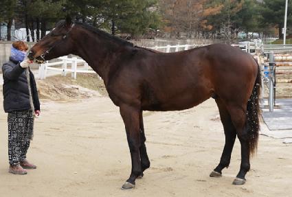 �����÷��̵� ����