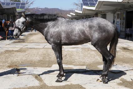 ���Ǻ��̿� ����